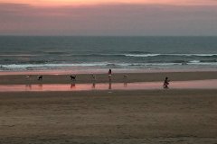 Arambol-Beach-Photo19